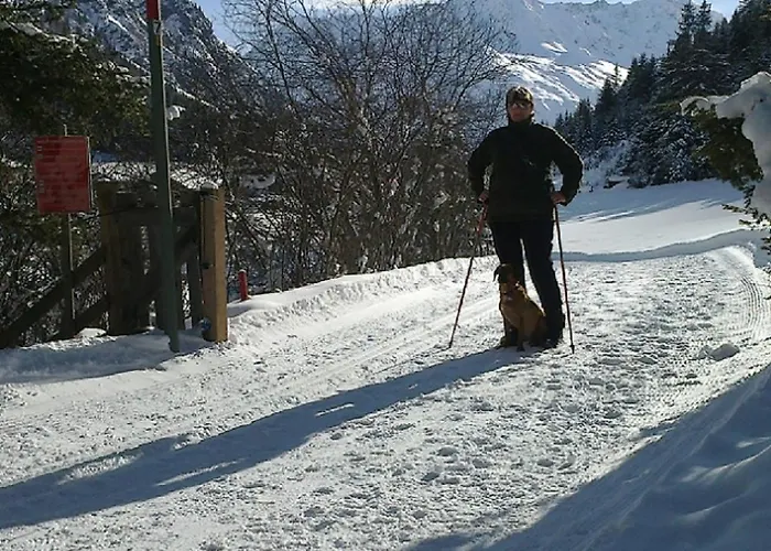Haus Puit Mandarfen Pitztal Apartamento *