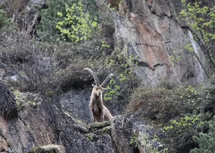 Apartamento Haus Puit Mandarfen Pitztal Sankt Leonhard im Pitztal